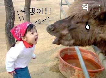 앙 이미지